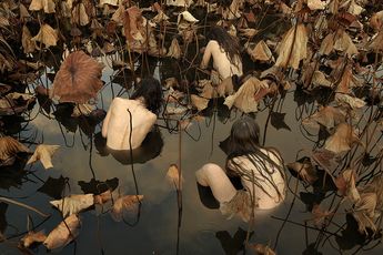 Contemporary art exhibition Tamara Dean In Our Nature at Martin Browne Contemporary Sydney Australia