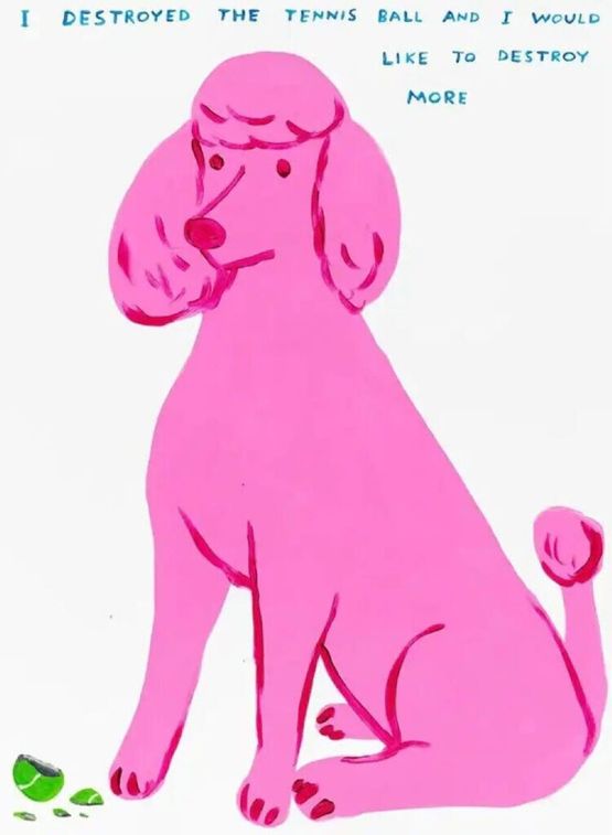 I Destroyed The Tennis Ball by David Shrigley contemporary artwork Print