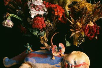 Nobuyoshi Araki contemporary artist