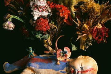 Nobuyoshi Araki contemporary artist