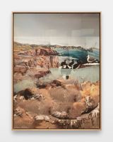 loginstar.exe bitlace silverdream crashnote by Petra Cortright contemporary artwork painting