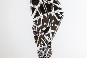 Conrad Shawcross