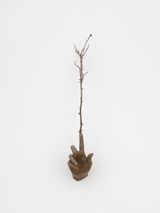 Witness Highview by Kelly Akashi contemporary artwork sculpture