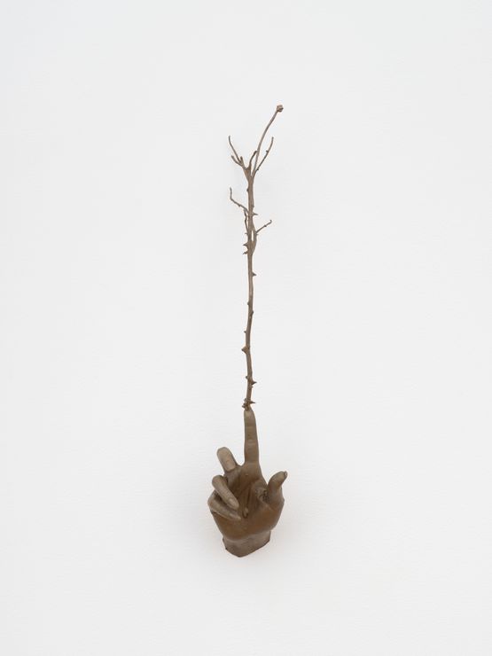 Witness Highview by Kelly Akashi contemporary artwork Sculpture