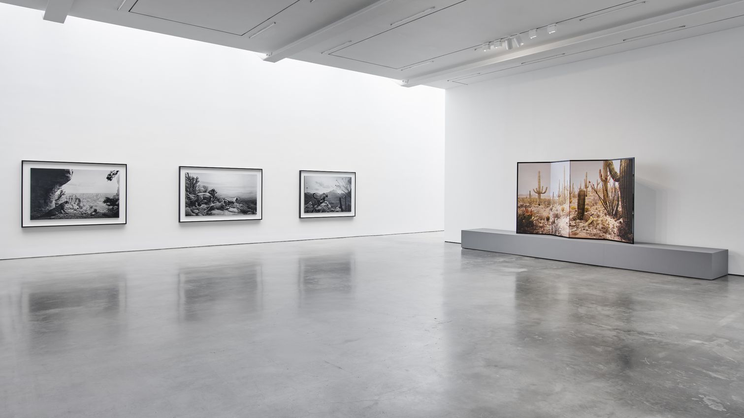Hiroshi Sugimoto