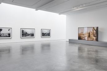 Contemporary art exhibition Hiroshi Sugimoto Unnatural Habitat at Lisson Gallery 504 West 24th Street New York United States