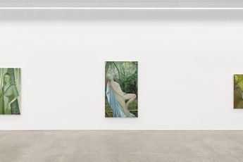 Contemporary art exhibition Jenny Morgan No Endings for the Wild at Anat Ebgi Tribeca United States