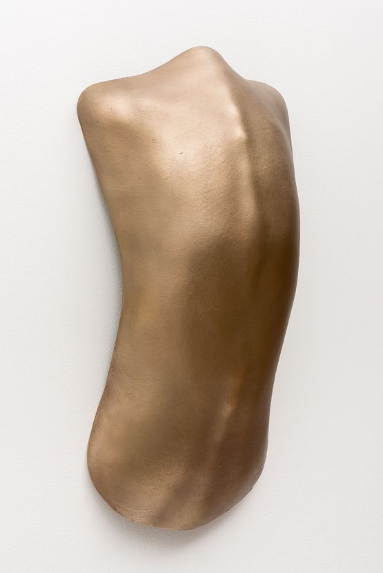 Carapace 1 by Julie Rrap contemporary artwork Sculpture