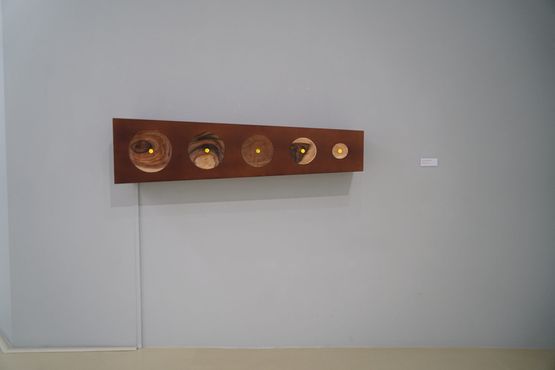Exorbited Oculus Array I-V by Dr. Susie Lingham contemporary artwork Sculpture