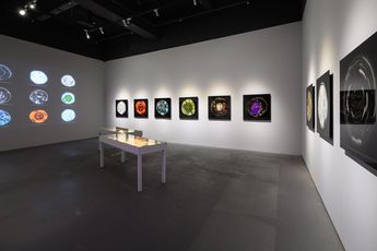 Wu Chi-Yu contemporary artist