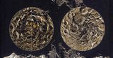 The 8th Continent South and North Poles by Clarissa Tossin contemporary artwork textile