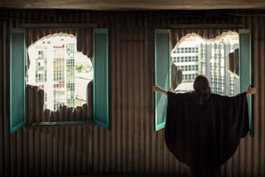 Isaac Julien