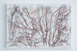 Ghada Amer