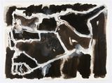 Cage Syria map variations by Fiona Hall contemporary artwork works on paper