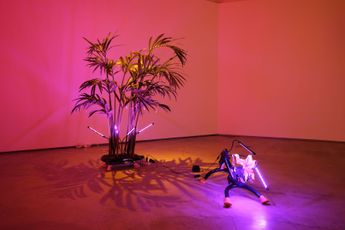 Rachel Youn contemporary artist