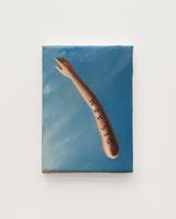 Disarm by Fiona Banner Aka The Vanity Press contemporary artwork painting
