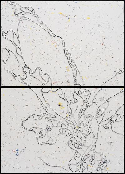 Lee Buls Organic and Inorganic Forms at Thaddaeus Ropac