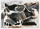 Cage Syria map variations by Fiona Hall contemporary artwork works on paper