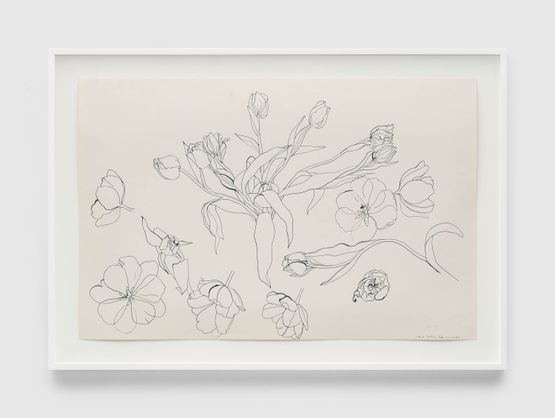 Untitled PF.259 Fuyu Persimmons by Ruth Asawa contemporary artwork Works on Paper