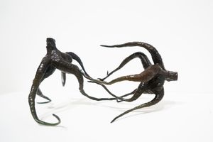 Jason Lim