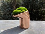 Untitled by Alice Wang contemporary artwork sculpture