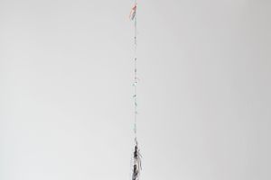 Nina Canell