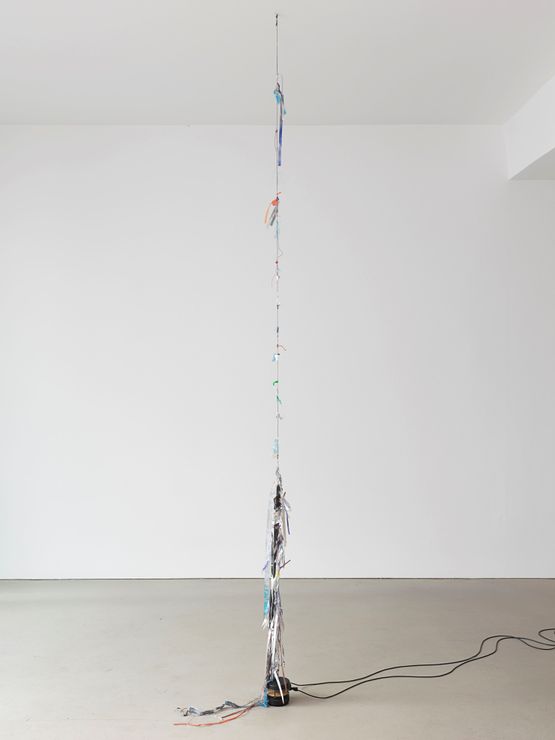 Negative Hair by Nina Canell contemporary artwork Sculpture