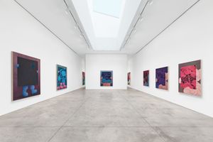 Skarstedt contemporary art gallery in New York - Chelsea United States