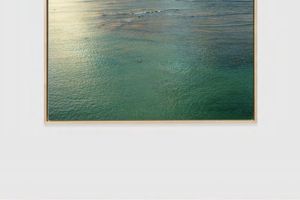 Richard Misrach