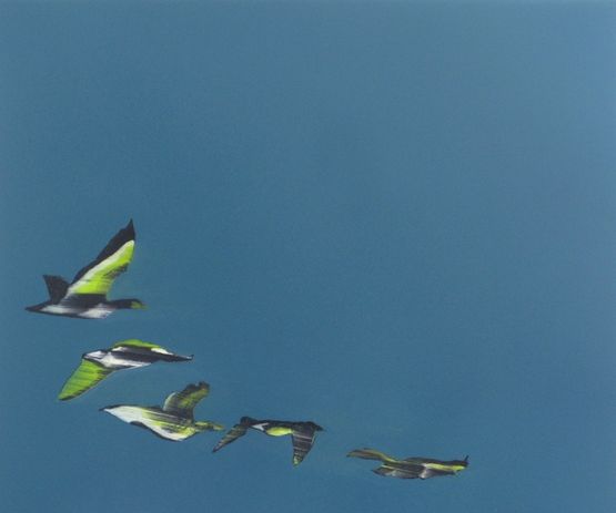 Untitled Birds towards December by Whitney Bedford contemporary artwork Painting
