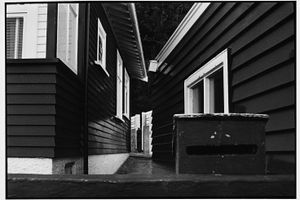 Marti Friedlander