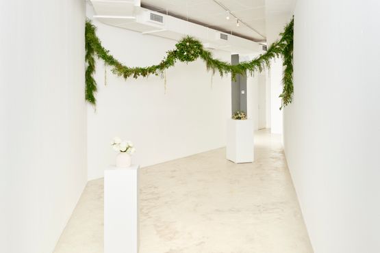 Flowers for Africa Union of South Africa by Kapwani Kiwanga contemporary artwork Installation