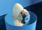 Calcite 88 million BC by Rachel Rose contemporary artwork Sculpture
