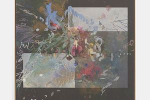 Petra Cortright