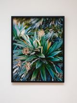 Tikumu by Conor Clarke contemporary artwork print