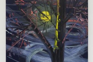 Ann Craven
