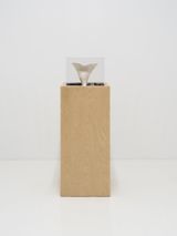 FF002 by Miranda Fengyuan Zhang contemporary artwork print sculpture