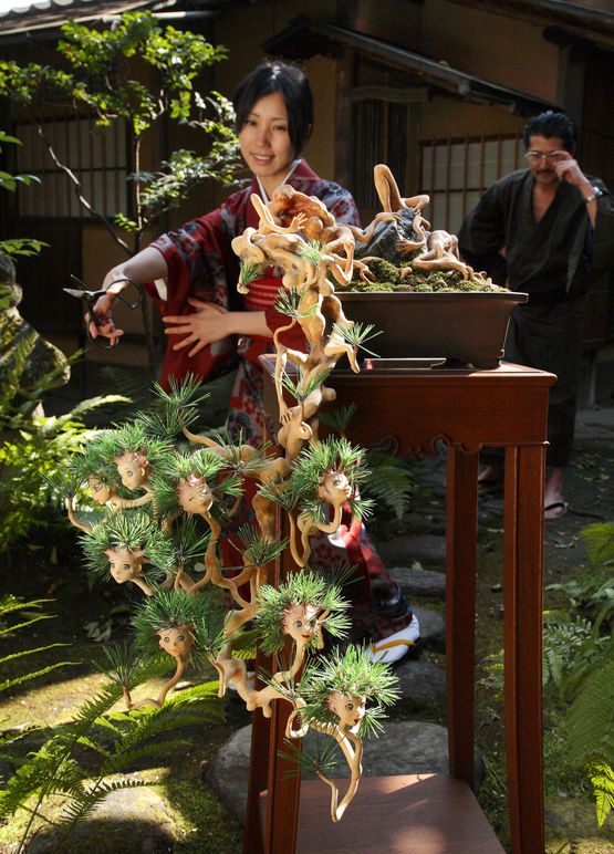 Ai-chan BONSAI pine in the garden by Aida Makoto contemporary artwork Photography