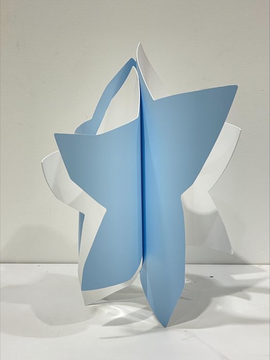 Dancing Star 20220306 by Wonwoo Lee contemporary artwork Sculpture