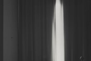 Dirk Braeckman