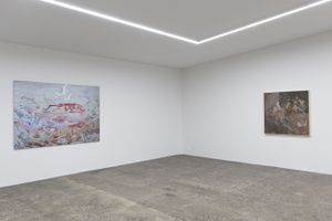 Petra Cortright