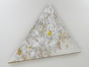 Star of the Wilderness by Masato Kobayashi contemporary artwork Painting
