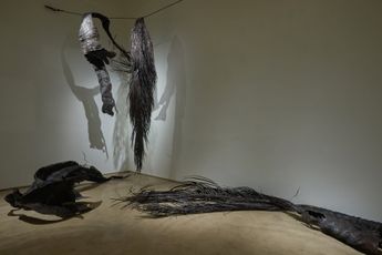 Sakshi Gupta contemporary artist