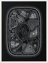 Zoofolium 02 by Golan Levin contemporary artwork drawing nft