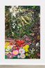Sage flowers Coast live Oak Charmlee after the rains by Thomas Houseago contemporary artwork Painting
