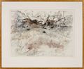 Palimpsest of desert tracks Burrowing betong Hare wallaby Brush-tailed mulgara Bilby and Great desert skink by John Wolseley contemporary artwork Works on Paper