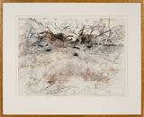 Palimpsest of desert tracks  Burrowing betong Hare wallaby Brush-tailed mulgara Bilby and Great desert skink by John Wolseley contemporary artwork works on paper