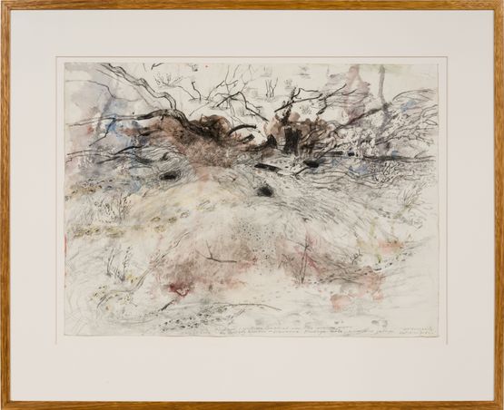 Palimpsest of desert tracks  Burrowing betong Hare wallaby Brush-tailed mulgara Bilby and Great desert skink by John Wolseley contemporary artwork Works on Paper