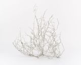 Untitled Tumbleweed X by Liz Glynn contemporary artwork sculpture