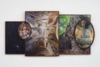Into This Wild Abyss The Womb of Nature by Todd Gray contemporary artwork Print
